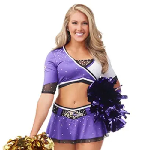 Baltimore Ravens Cheerleader Alumni 